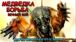 Самый ПРОСТЕЙШИЙ СПОСОБ борьба с медведкой!