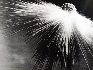 Бомбежка Токио напалмом и фосфорными бомбами, Март 1945. Воспоминания Фунато Казуе