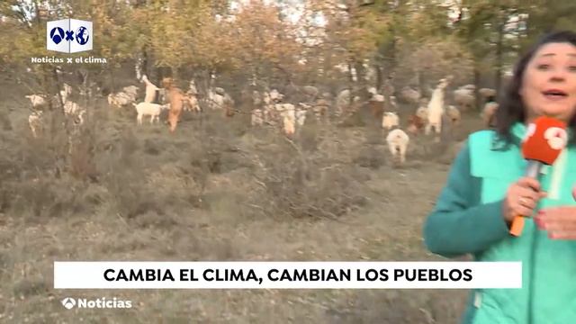 Tintin4Climate Unit 3 Interviews смотреть онлайн