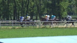 Приз в честь Уфимского ипподрома (лошади трех лет, 1800 метров)