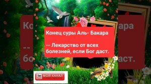 Конец суры «Аль- Бакара» – лекарство от всех болезней, если даст Бог