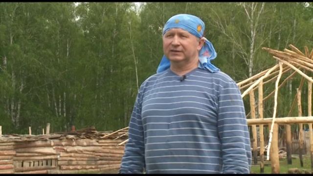 Необычная свиноферма