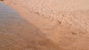 Египет 2020. Jaz Mirabel Beach 5*  Обзор отеля