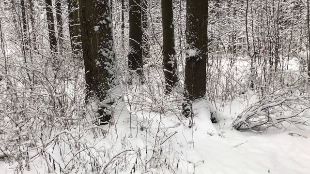 СТОЛЬКО ЛЕТ ПРОЖИЛ С ЖЕНЩИНОЙ,А ОНА В СЕКУНДУ ПРЕДАЛА.Любовные поучительные истории и аудио рассказ