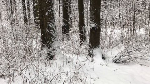 СТОЛЬКО ЛЕТ ПРОЖИЛ С ЖЕНЩИНОЙ,А ОНА В СЕКУНДУ ПРЕДАЛА.Любовные поучительные истории и аудио рассказ