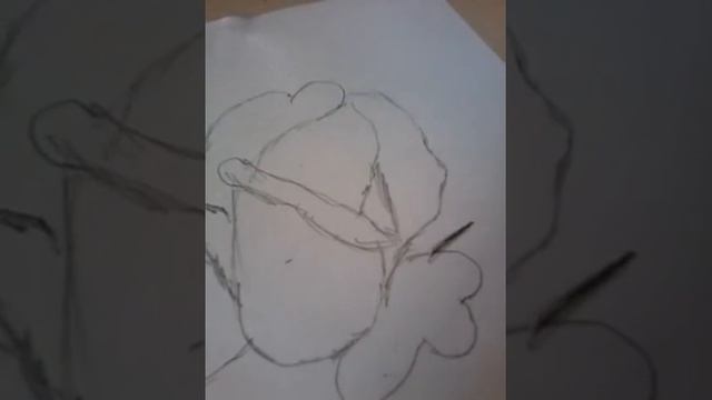 рисуем розу карандашом смотреть онлайн