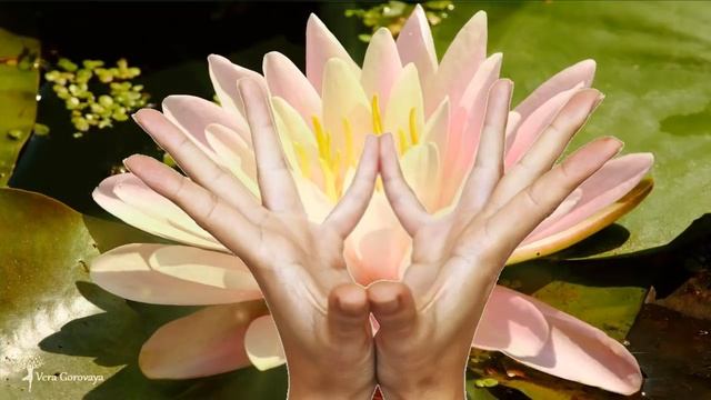 Мантра любви ❤ Мудра от одиночества