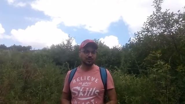 Прогулка по заповеднику после сна на ульях смотреть онлайн