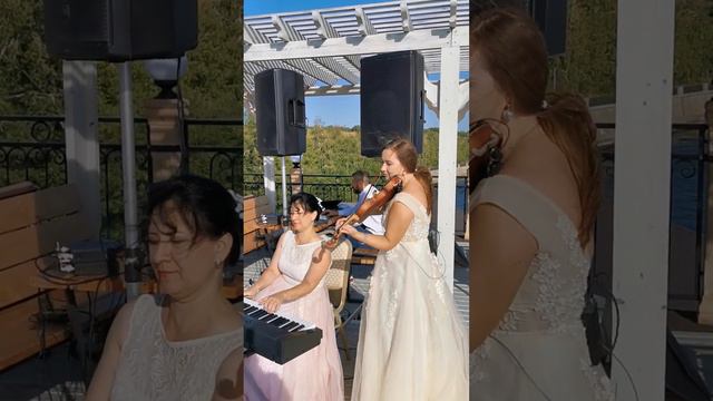 Живая музыка скрипка и фортепиано Самара Тольятти Сызрань смотреть онлайн