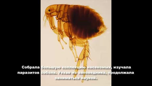 Ольга Ивановна Скалон