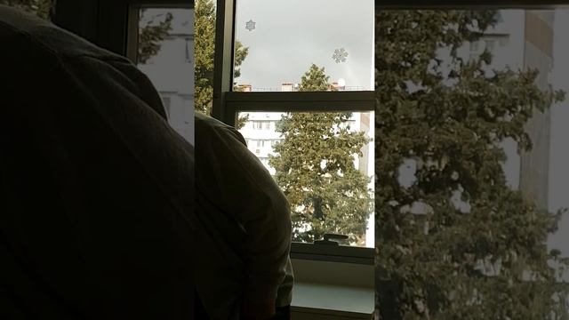 Владимир Полежаев, о карьерной лестнице успеха! смотреть онлайн