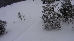 Советск легкая прогулка на снегоходах в поисках снега