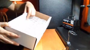 2021 Gibson Les Paul Standard Unboxing......mini