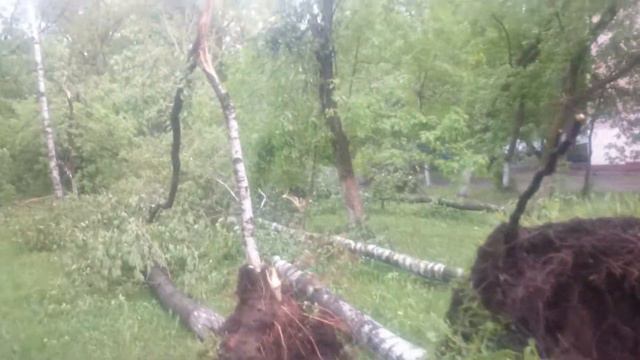 Ураган 29 мая 2017 стал самым сильным в Москве за последние 100 лет\ мой взгляд смотреть онлайн