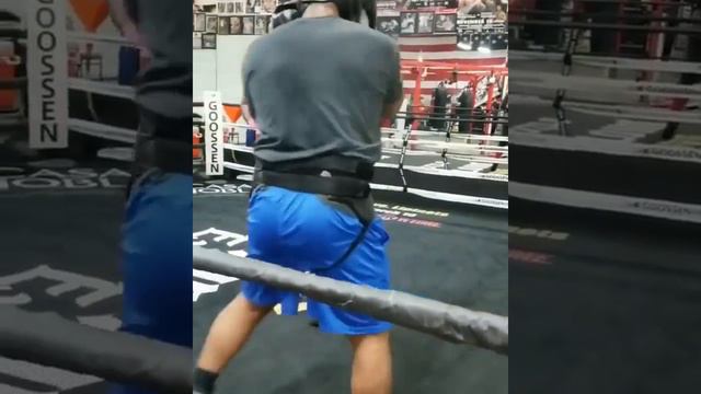 Malik Scott vs Avery Gibson Sparring Footage Heavyweights