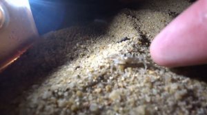 #3 в Нячанге l Вьетнам в январе 2020 l Атака крабов на пляже