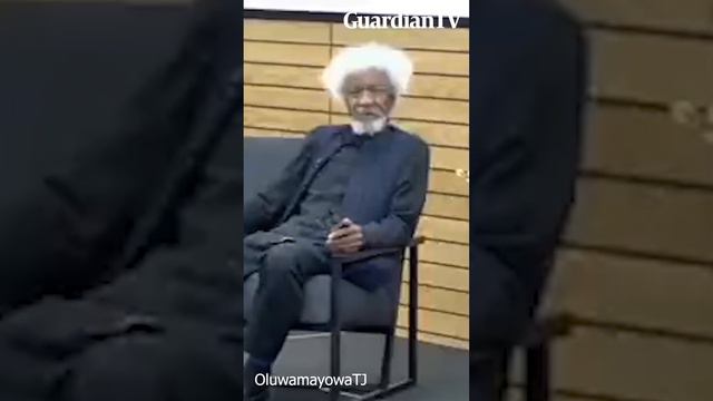 'Peter Obi did not win the 2023 election, he came third' - Wole Soyinka