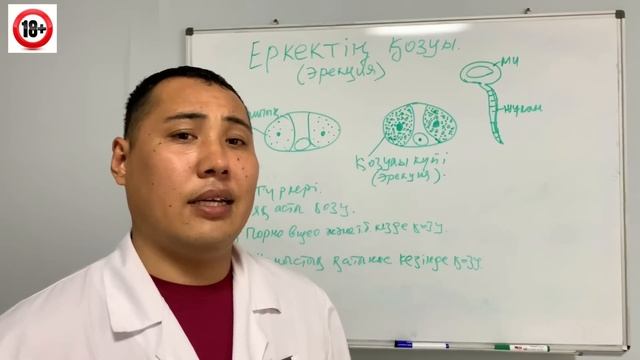 Онлайн чаттардағы порно Ирина Забиякамен порно