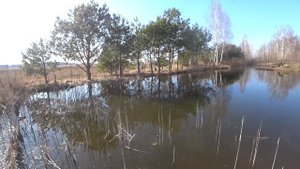 3 САМЫХ лучших АРОМАТА. Уловистая Насадка на Карася. Карась Карп Сазан Рыболовная насадка для Карас