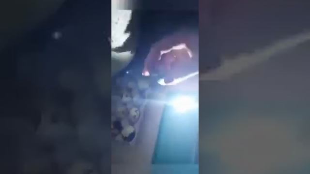 Овоскопирование перепелиных яиц