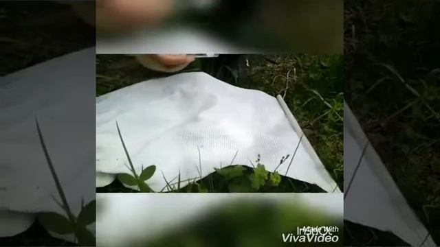 Тест спрея от комаров Аргус в природе. смотреть онлайн