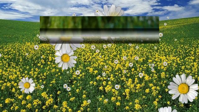 Летнее настроение смотреть онлайн