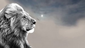 Одиночество удел сильных?