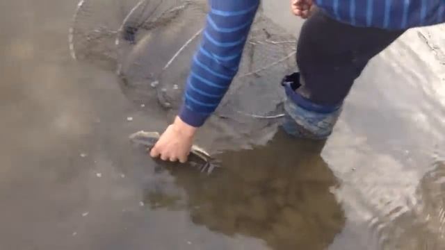 рыбалка в дединово 04.05.2018