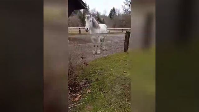 One day in Munich #2 я попала в сказочный дом ???? смотреть онлайн