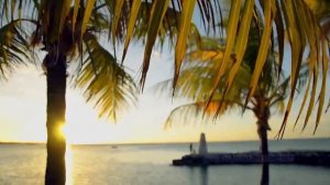 Море, пальмы, пляж