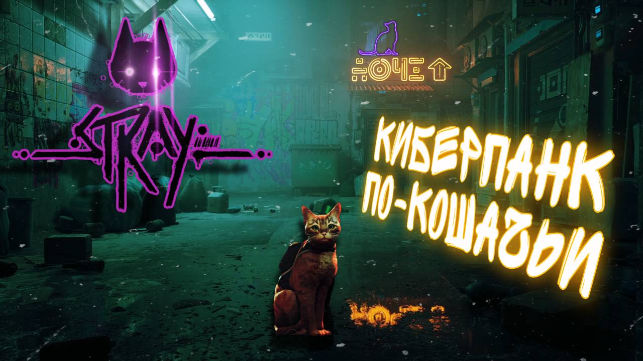 НЕОЖИДАННО СТАЛА БЕЗДОМНЫМ КОТОМ►КРАЙНЕ ПОЛНОЕ ПРОХОЖДЕНИЕ► STRAY► #1