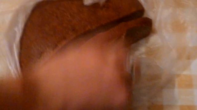 Лайфхак в общаге. Тараканы и хлеб смотреть онлайн