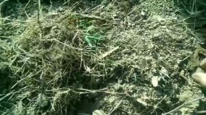 Поиск с X-Terra 705 по распаханной деревне! Как ориентироваться на местности!