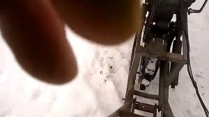 Самодельный зверь для огорода.