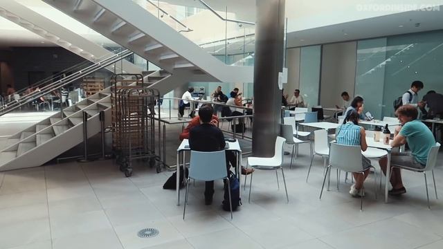 Как учиться в Оксфорде бесплатно. Оксфордский Университет летом.