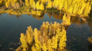 в любую погоду можно увидеть красоту, особенно в хорошую)))