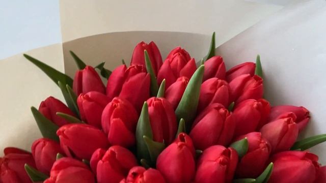 Букет из 51 тюльпана красный