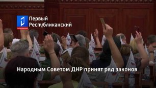 Народным Советом ДНР принят ряд законов