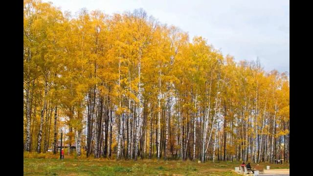 Этюды Золотой Осени смотреть онлайн
