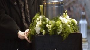 Как похоронить собаку правильно во дворе дома