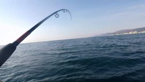 Рыбалка в Черном море, поймали скат-хвостокол!