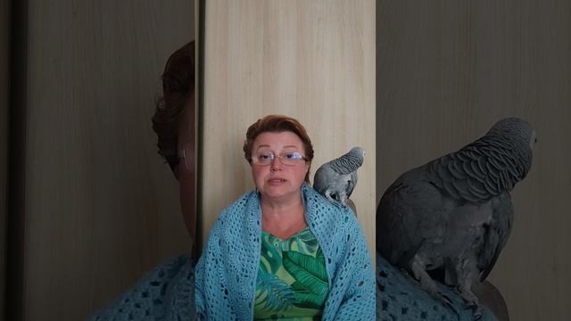 А.С.Пушкин "Сказка о рыбаке и рыбке" смотреть онлайн