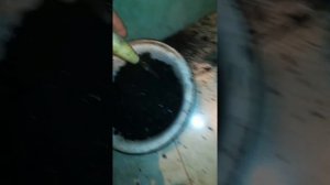 Последствия топки брикетами твердотопливного котла