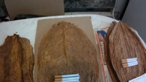 Выращивание табака. Часто задаваемый табачный вопрос.mp4