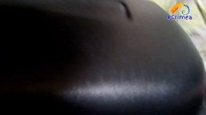 Попытка сохранения икры Скалярий в общем аквариуме