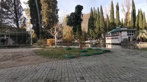 Росиянка ПОЛУЧИЛА ГРАЖДАНСТВО Абхазии и расказала КАК ЕЙ ЭТО УДАЛОСЬ Все СЕКРЕТЫ ПМЖ от первого лиц