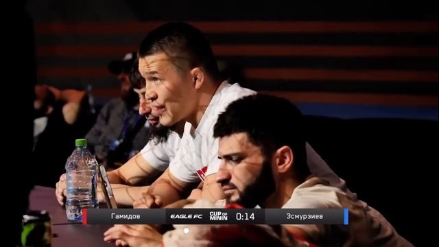 MMA Eagle Fighting Championship Selection 5 / Гамидов VS Эсмурзиев смотреть онлайн