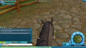 ~Как играть в Star Stable Online от первого лица?~