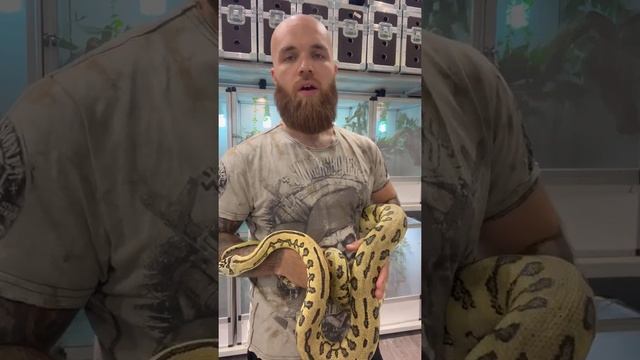 EKZOMANIA ПОМОГАЕТ ЖИВОТНЫМ/ПЕРВЫЕ ОСТАВЛЕННЫЕ РЕПТИЛИИ смотреть онлайн