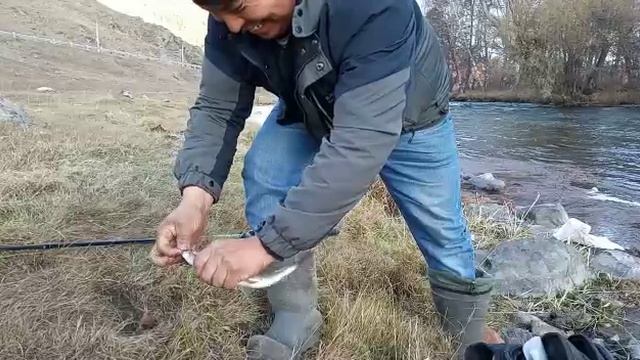 рыбалка на хариуса